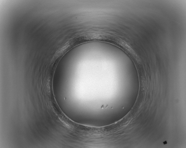 X0000064770489200602241959