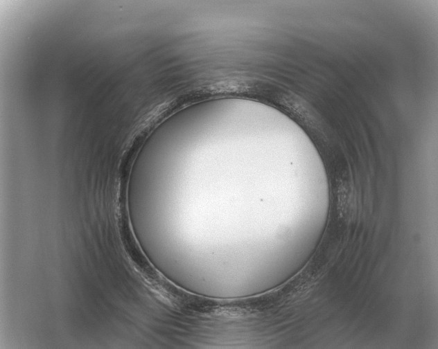 X0000064770490200602241959