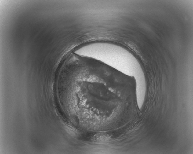 X0000064770491200602241959