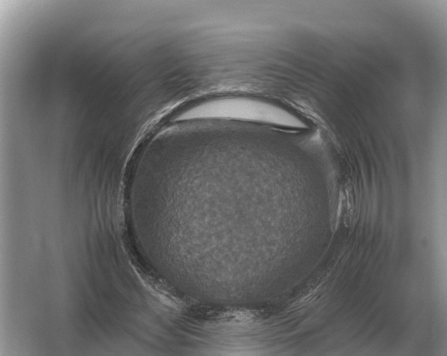 X0000064770492200602241959