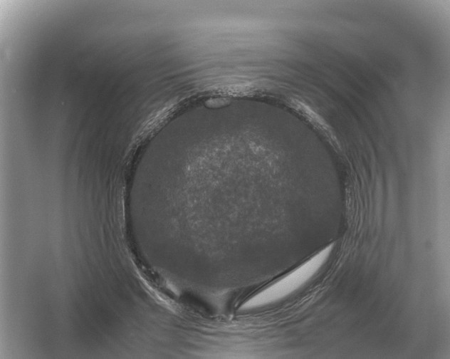 X0000064770493200602241959