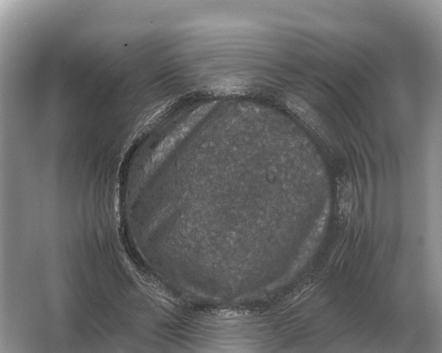 X0000064770494200602241959