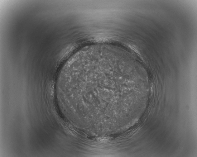 X0000064770495200602241959