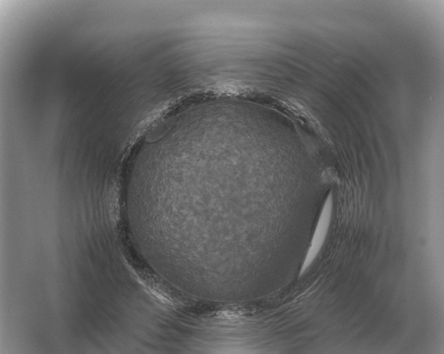 X0000064770496200602241959