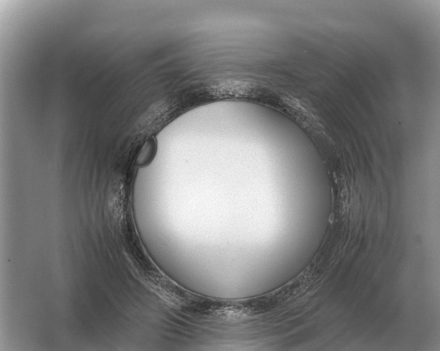 X0000064770498200602241959