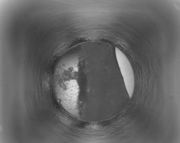 X0000064770503200602241959