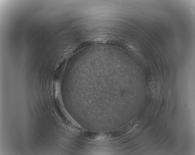 X0000064770504200602241959