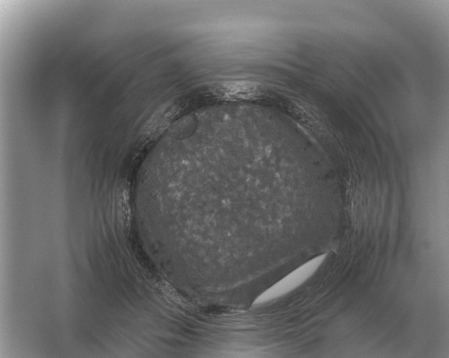 X0000064770506200602241959