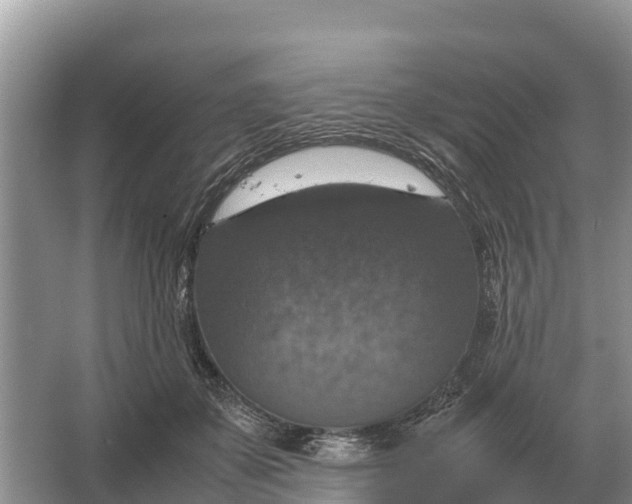 X0000064770507200602241959