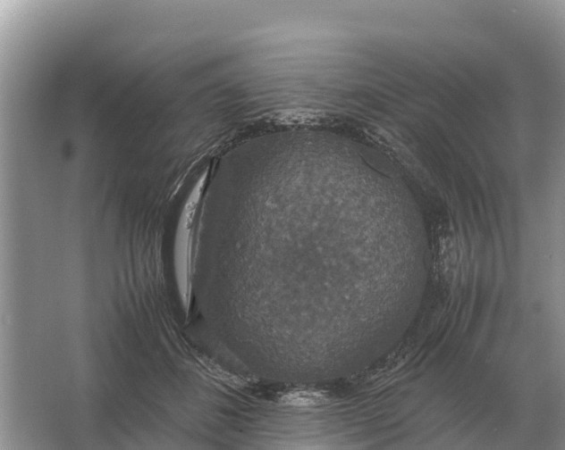 X0000064770508200602241959