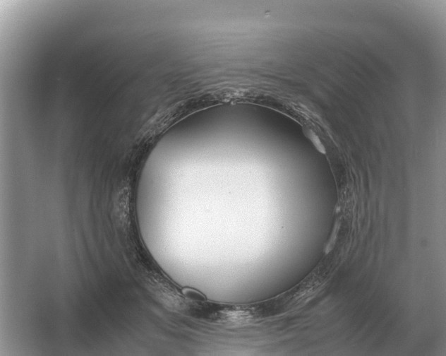 X0000064770509200602241959