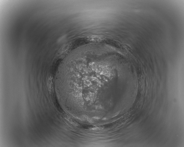 X0000064770511200602241959