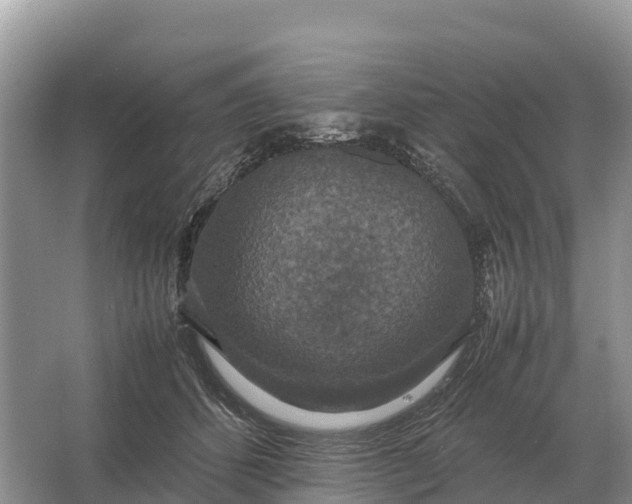 X0000064770512200602241959