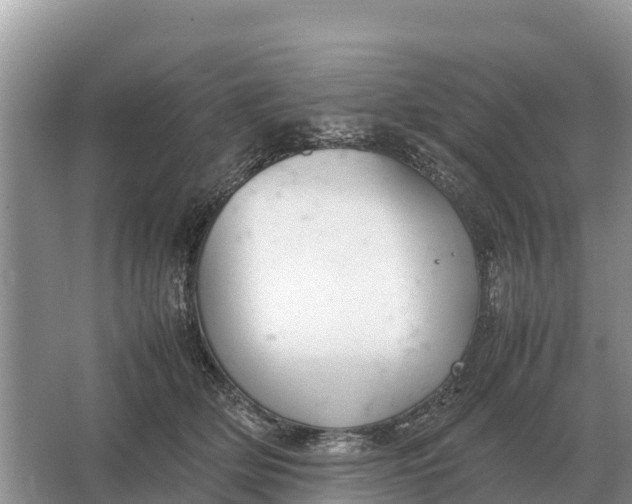 X0000064770514200602241959