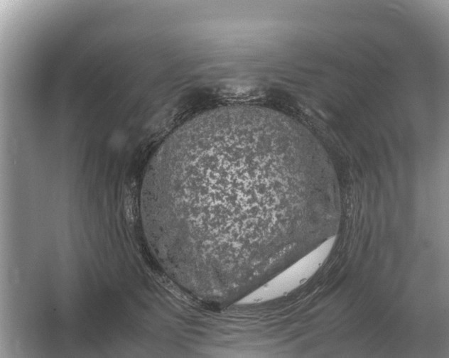 X0000064770515200602241959