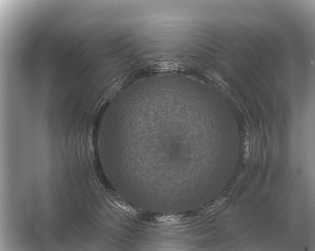 X0000064770516200602241959