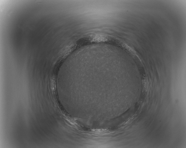 X0000064770517200602241959