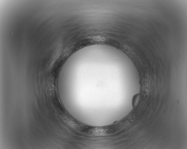 X0000064770518200602241959