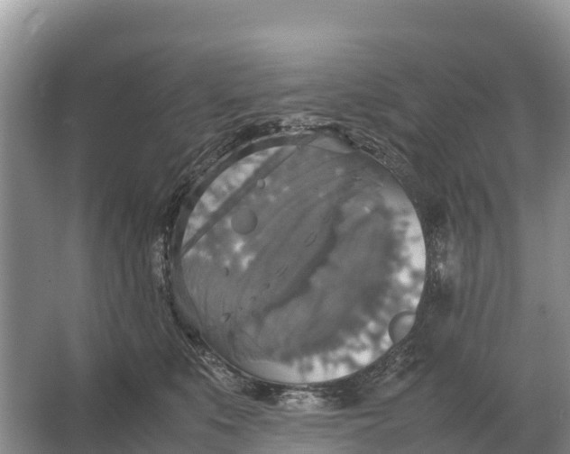 X0000064770519200602241958