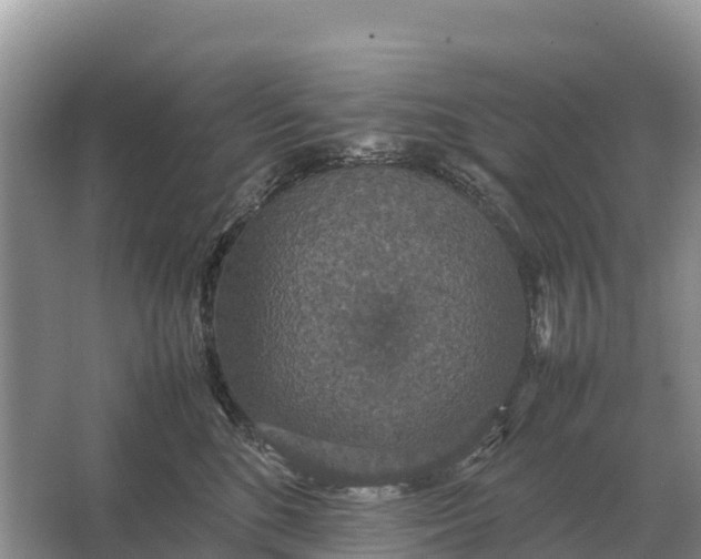 X0000064770520200602241958