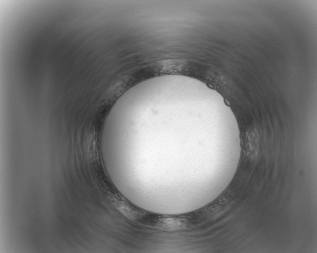 X0000064770522200602241958