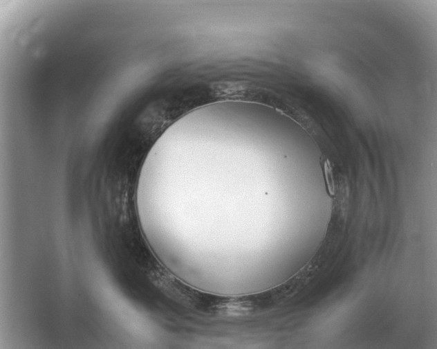 X0000064770525200602241958