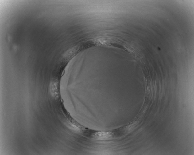 X0000064770526200602241958