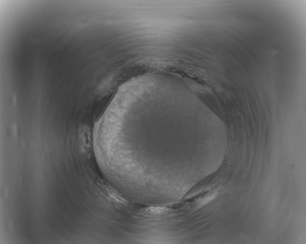 X0000064770528200602241958