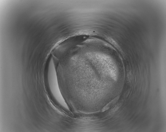 X0000064770530200602241957