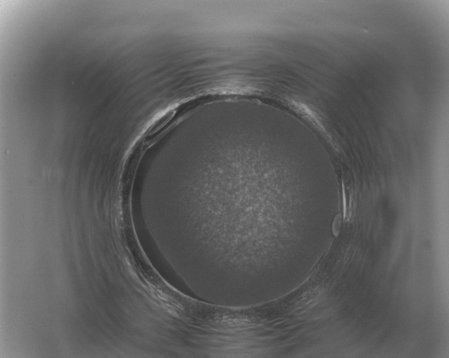 X0000064770531200602241957