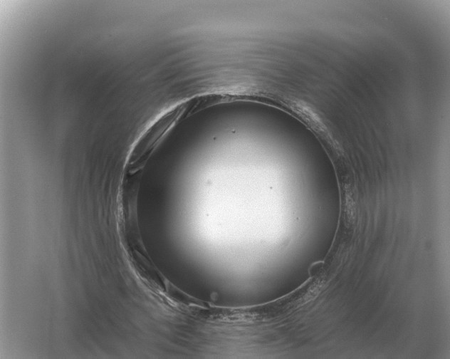 X0000064770532200602241957