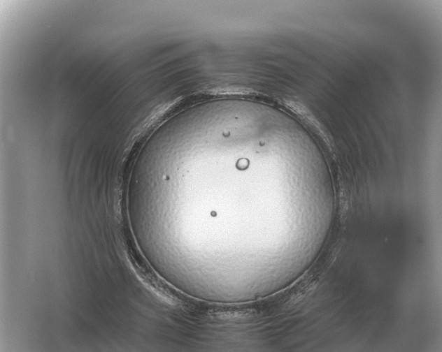 X0000064770533200602241957