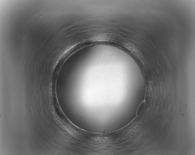 X0000064770535200602241957