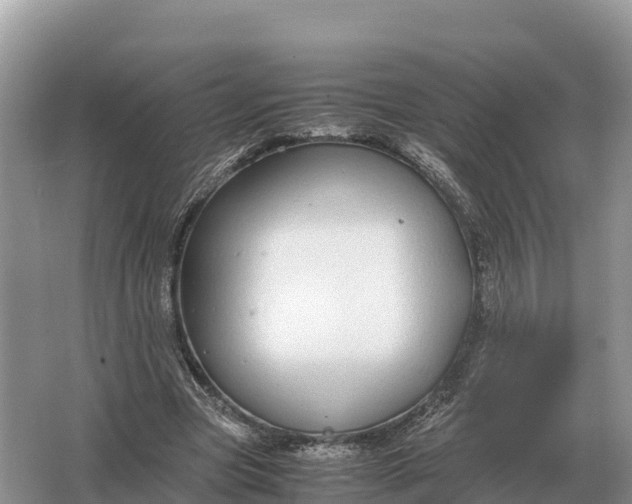 X0000064770537200602241957