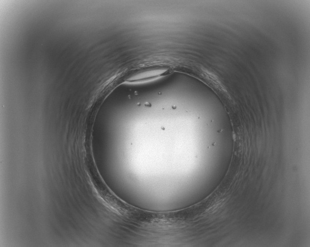 X0000064770538200602241957