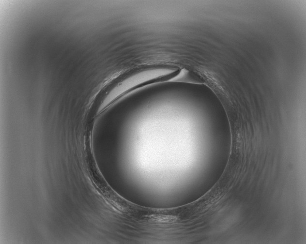 X0000064770539200602241957