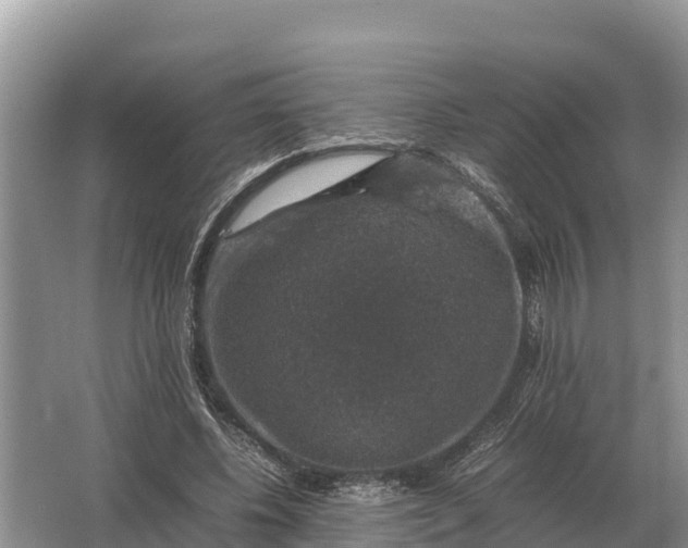 X0000064770540200602241957