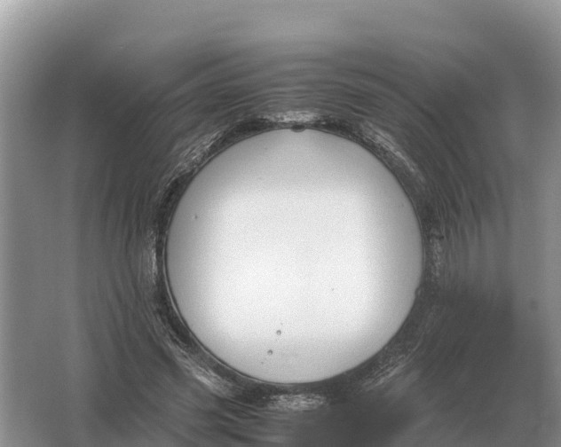 X0000064770541200602241957