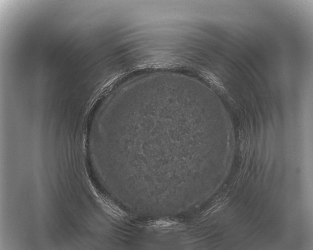 X0000064770542200602241957