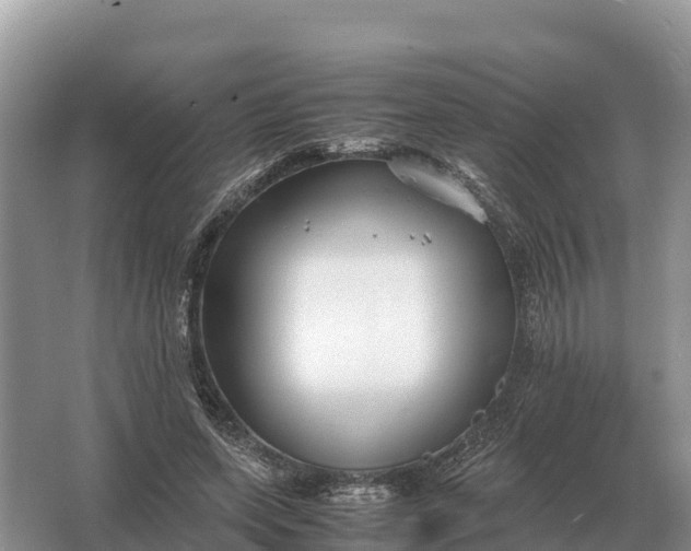 X0000064770543200602241957