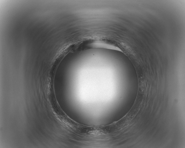 X0000064770544200602241957