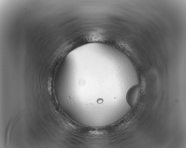 X0000064770545200602241957