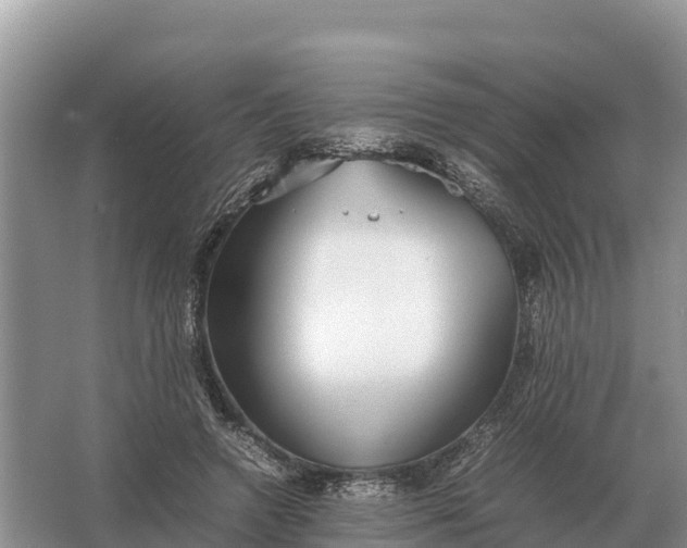 X0000064770546200602241958