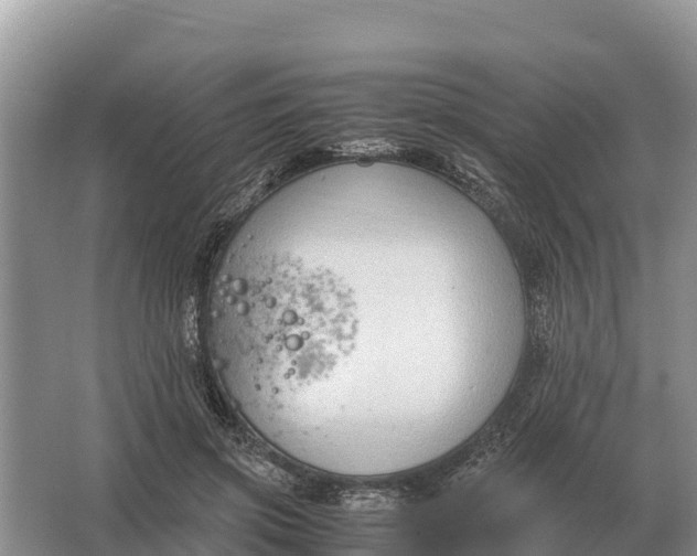 X0000064770549200602241958