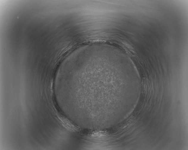 X0000064770550200602241958