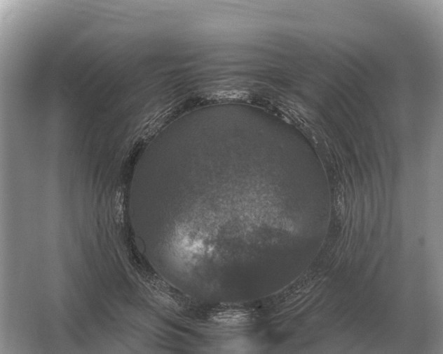 X0000064770551200602241958