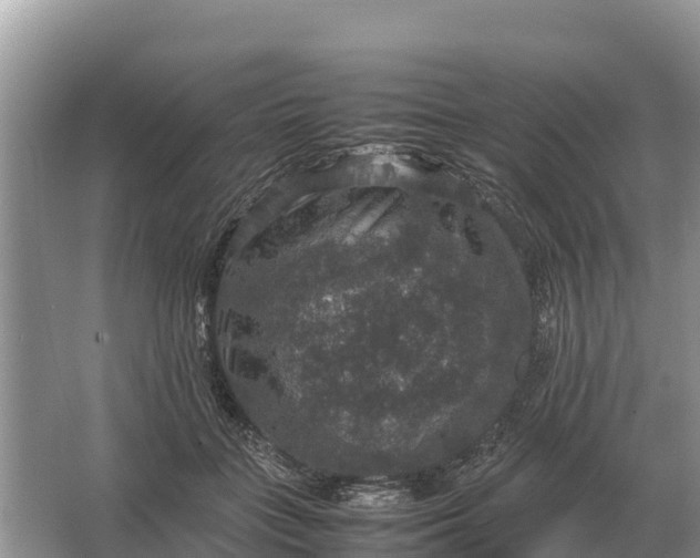 X0000064770555200602241958