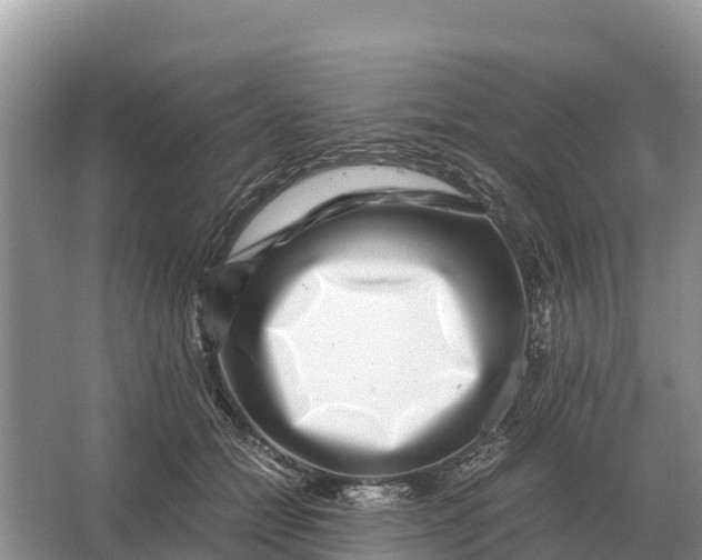 X0000064770558200602241958