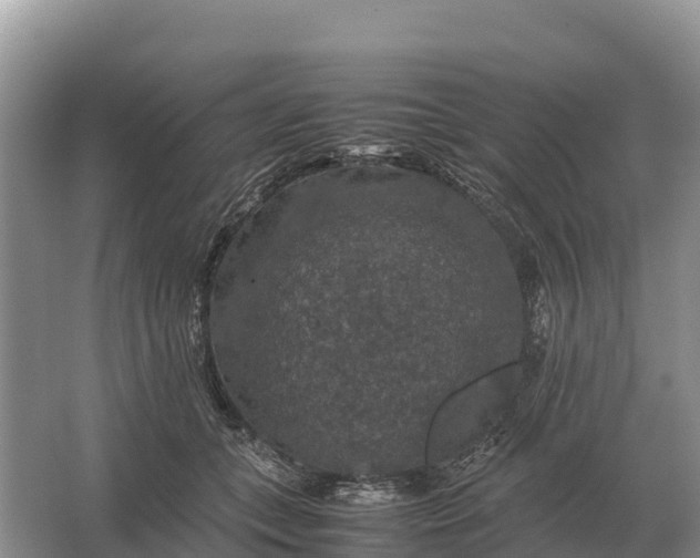 X0000064770559200602241958