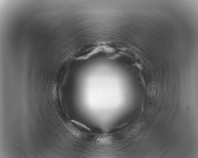 X0000064770560200602241958